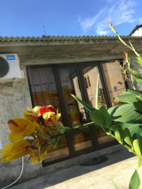 Mishel555, Ochamchira